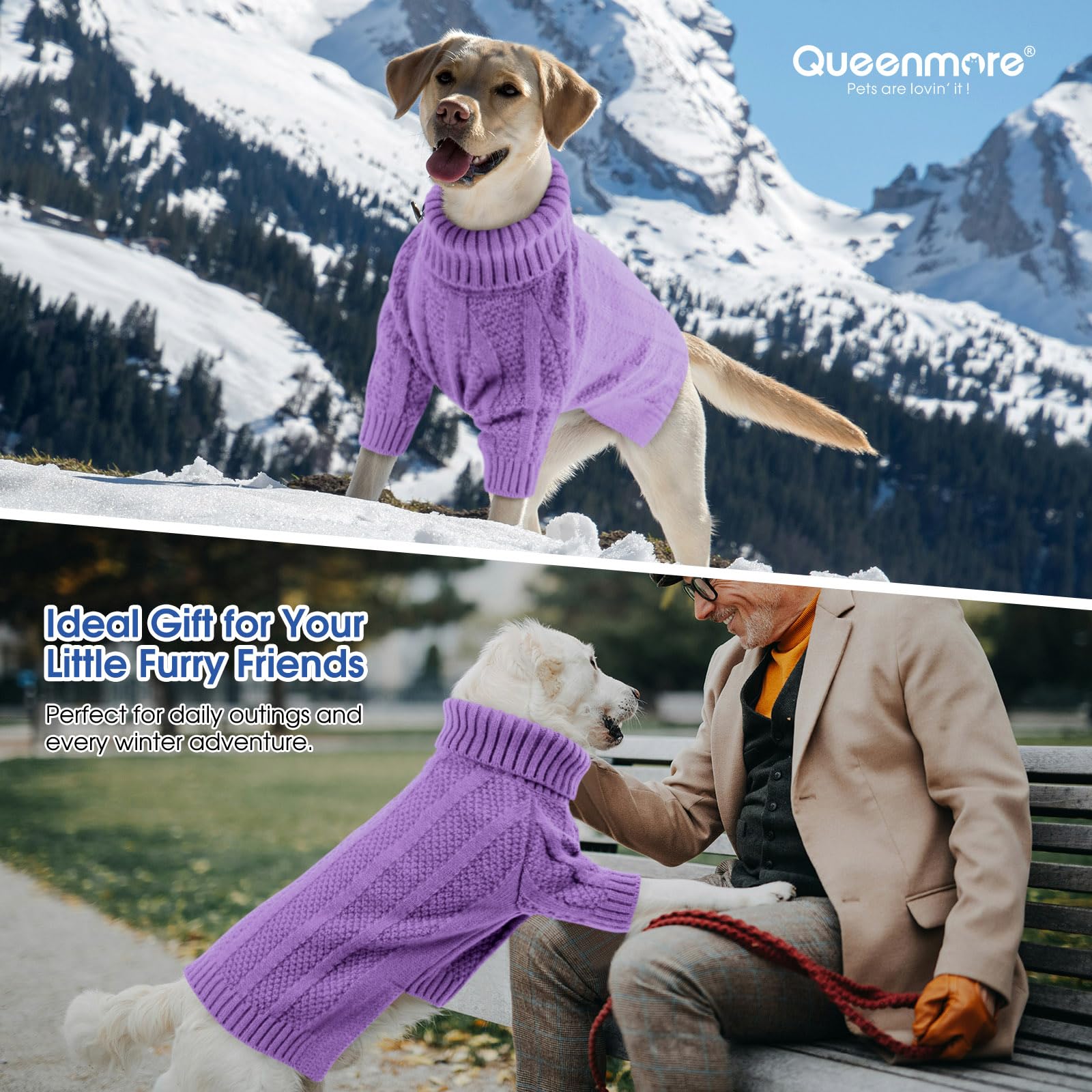 Queenmore christmas dog sweater holiday look for festive photoshoots and events