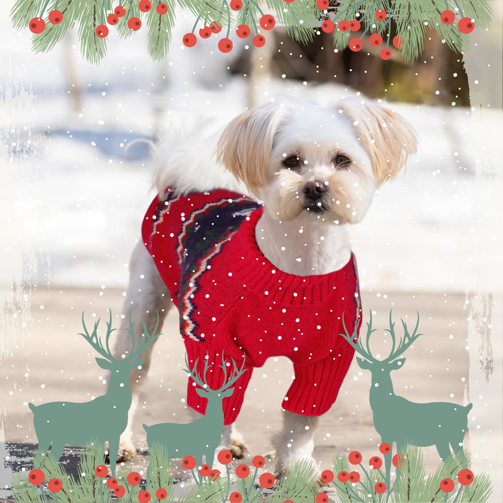 Queenmore Christmas dog sweater featuring ribbed cuffs and hem for secure fit.