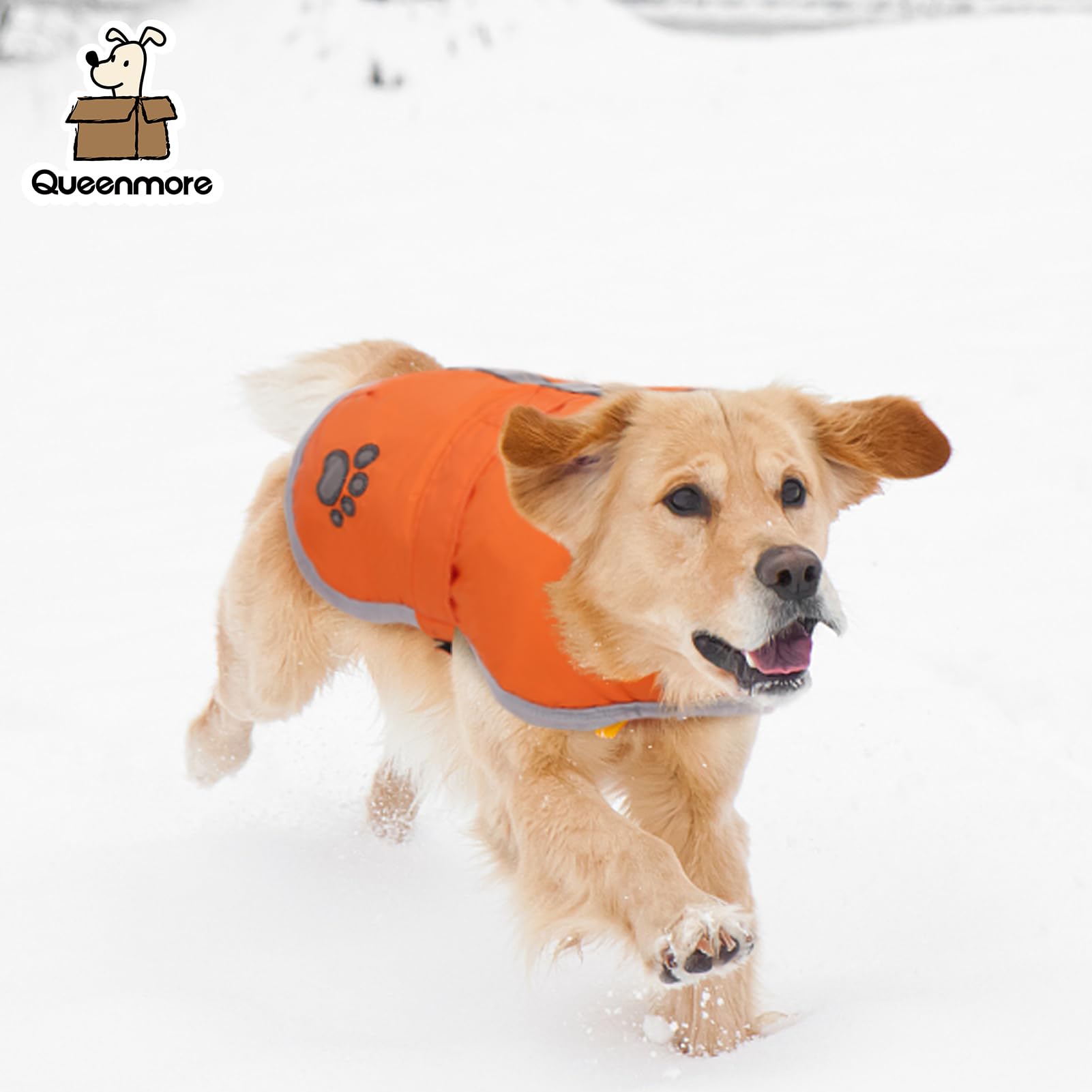 Queenmore comfortable belly panel dog coat provides snug fit without restricting movement.