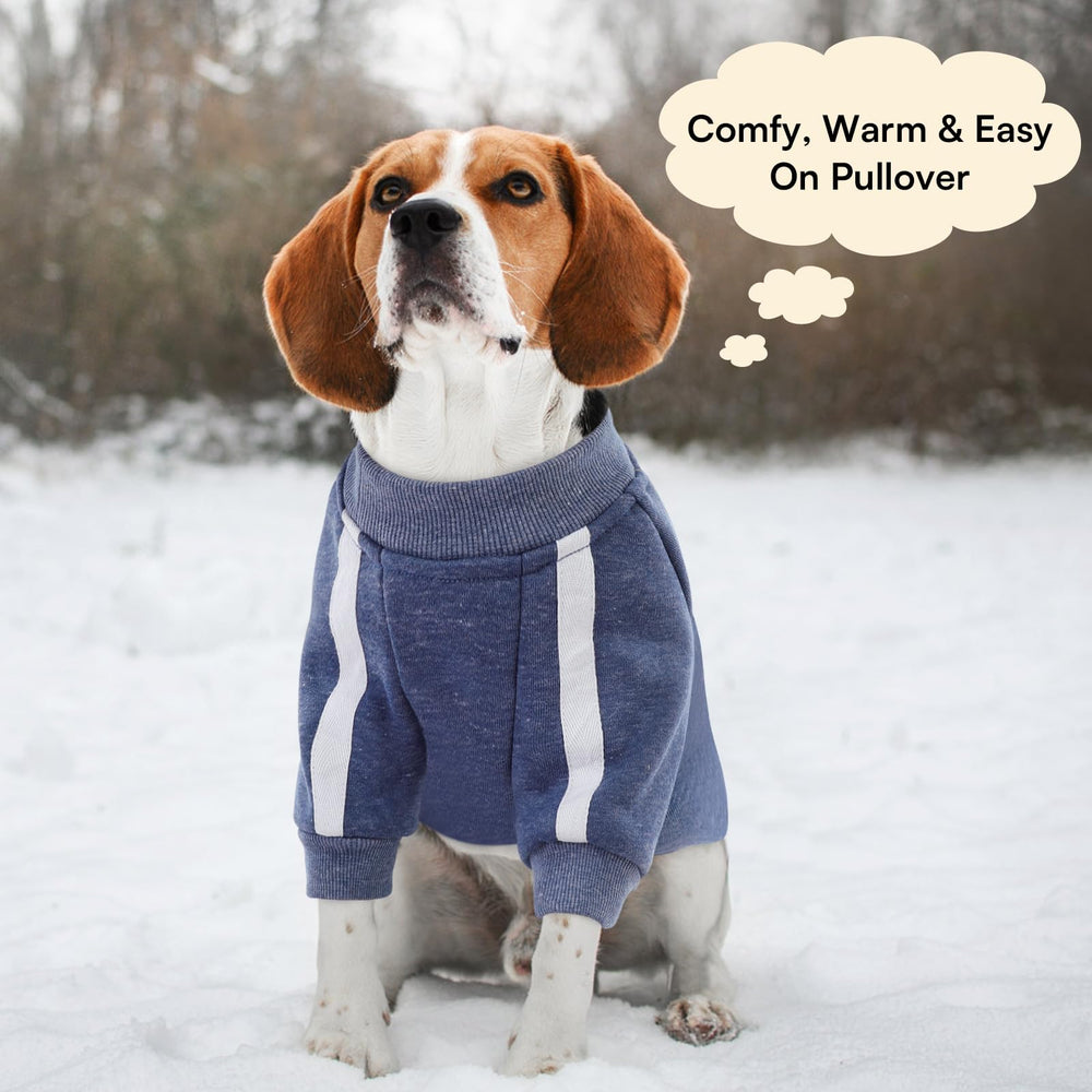 Queenmore cozy pullover blue dog sweater supports warm daily wear