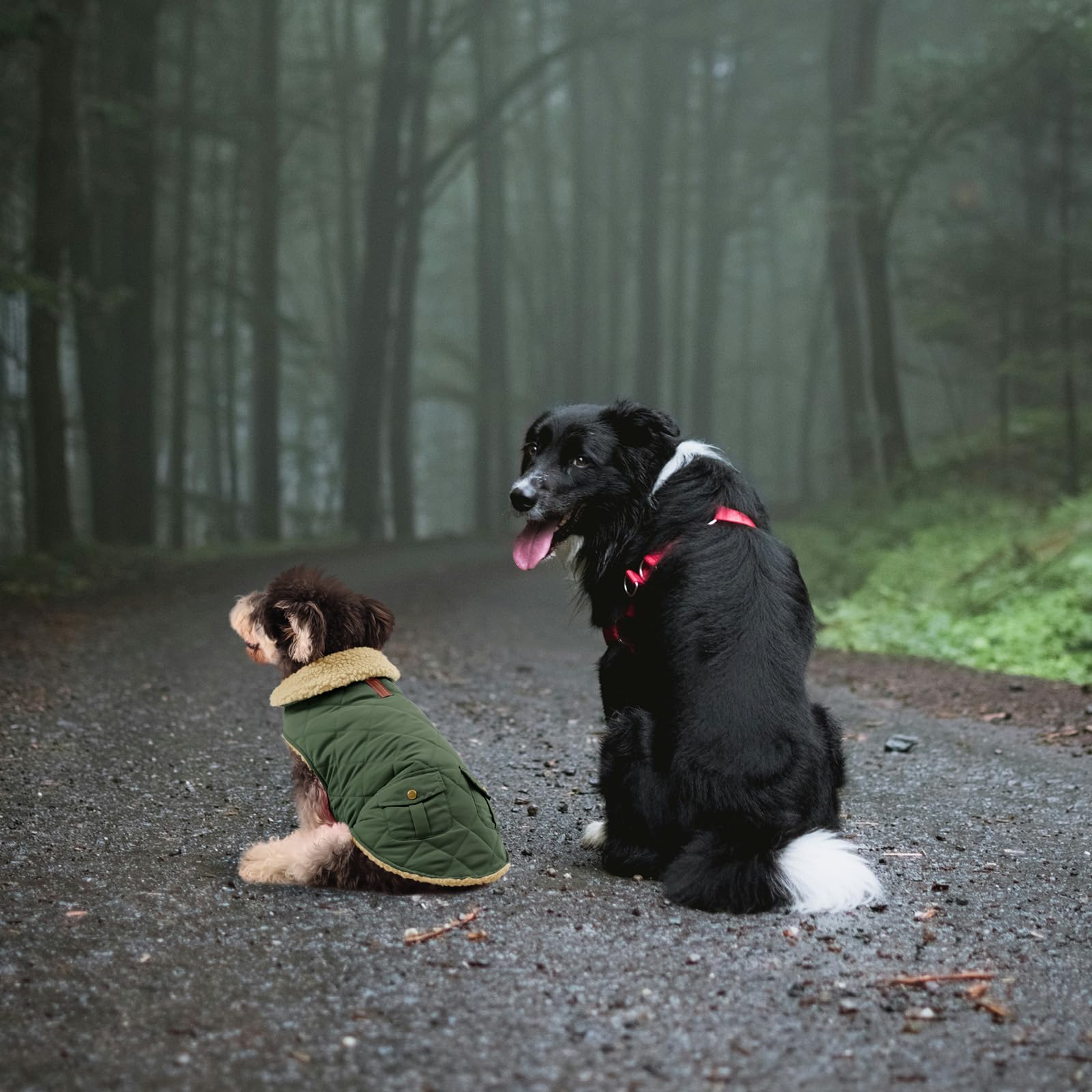 Queenmore warm dog coat size chart helps pick the right fit.