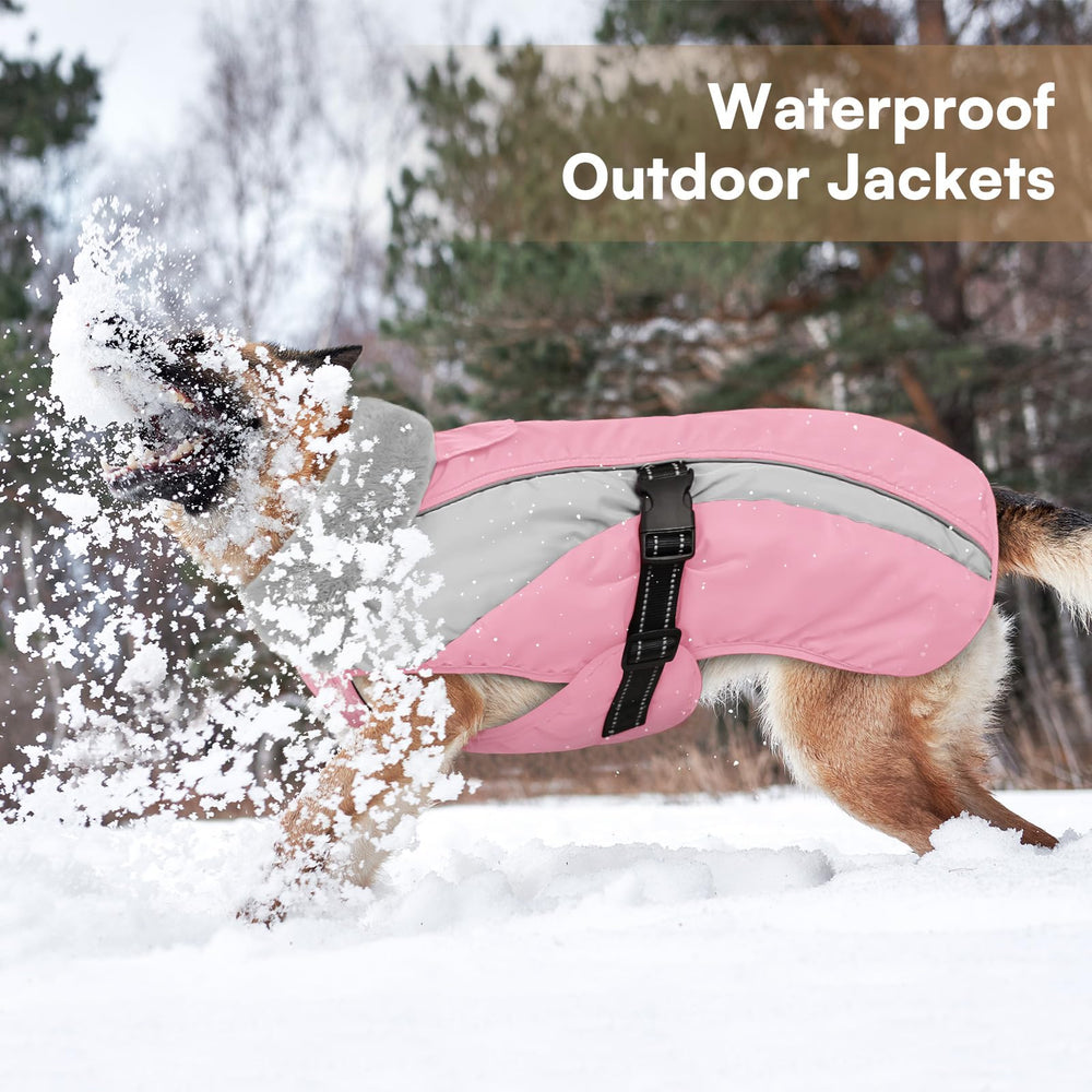 Queenmore dog coat size range chart shows inclusive fit.