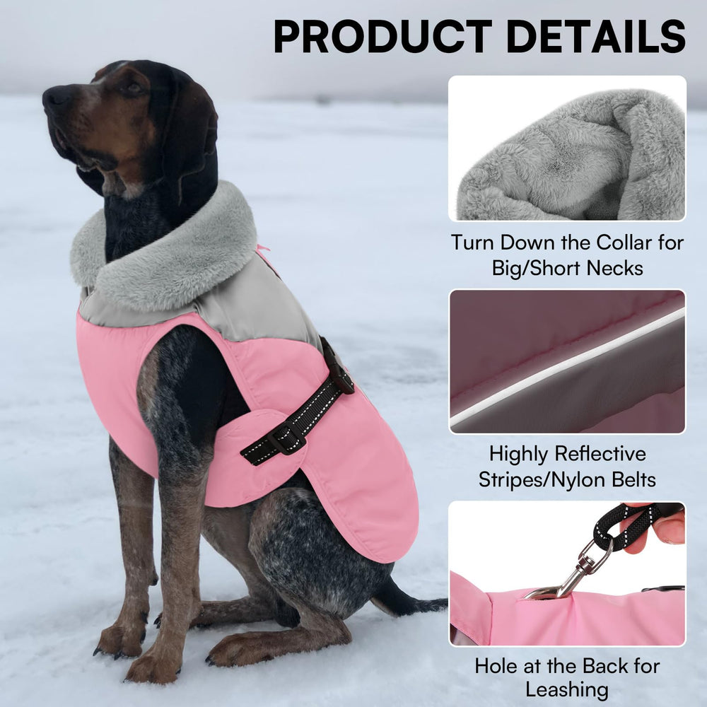 Queenmore dog coat waterproof fabric close-up emphasizes rain protection.