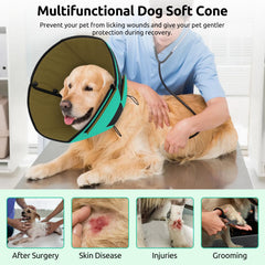 Queenmore green XL cone on a large dog shows breathability and room.
