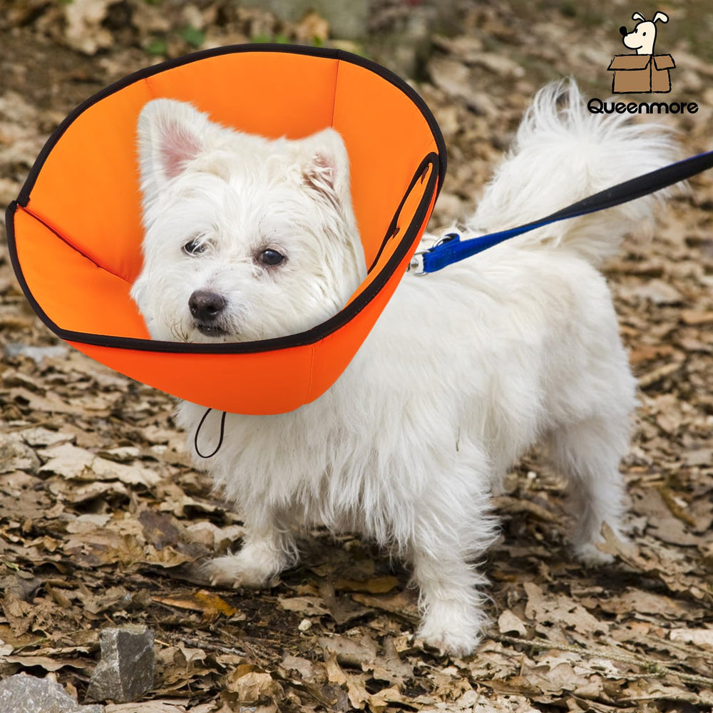 Queenmore orange cone available in sizes S to XL to fit most breeds.
