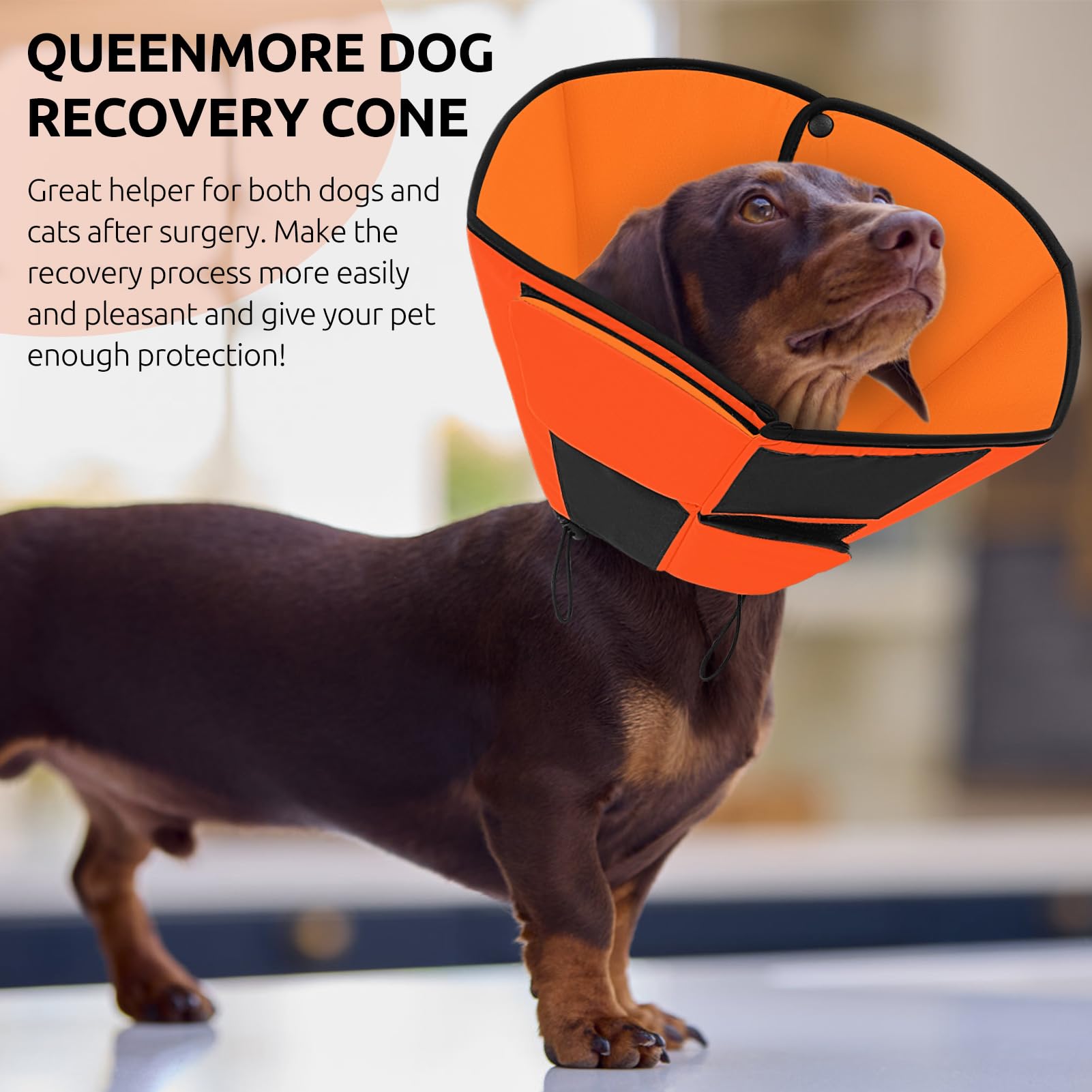 Queenmore soft-fabric cone supports comfortable wear during recovery periods.