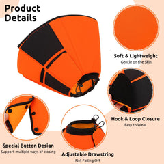 Queenmore orange dog cone worn on a small dog to prevent licking.