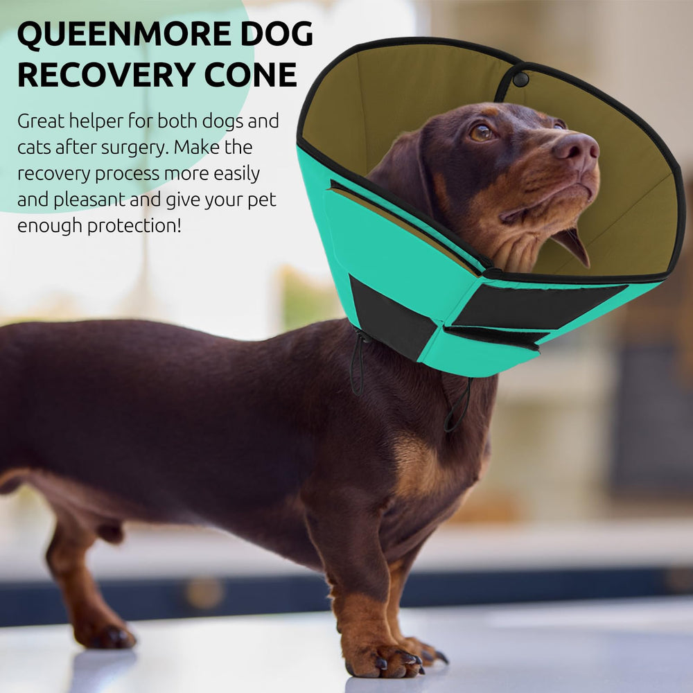 Queenmore cone supports post-surgery care by reducing licking.
