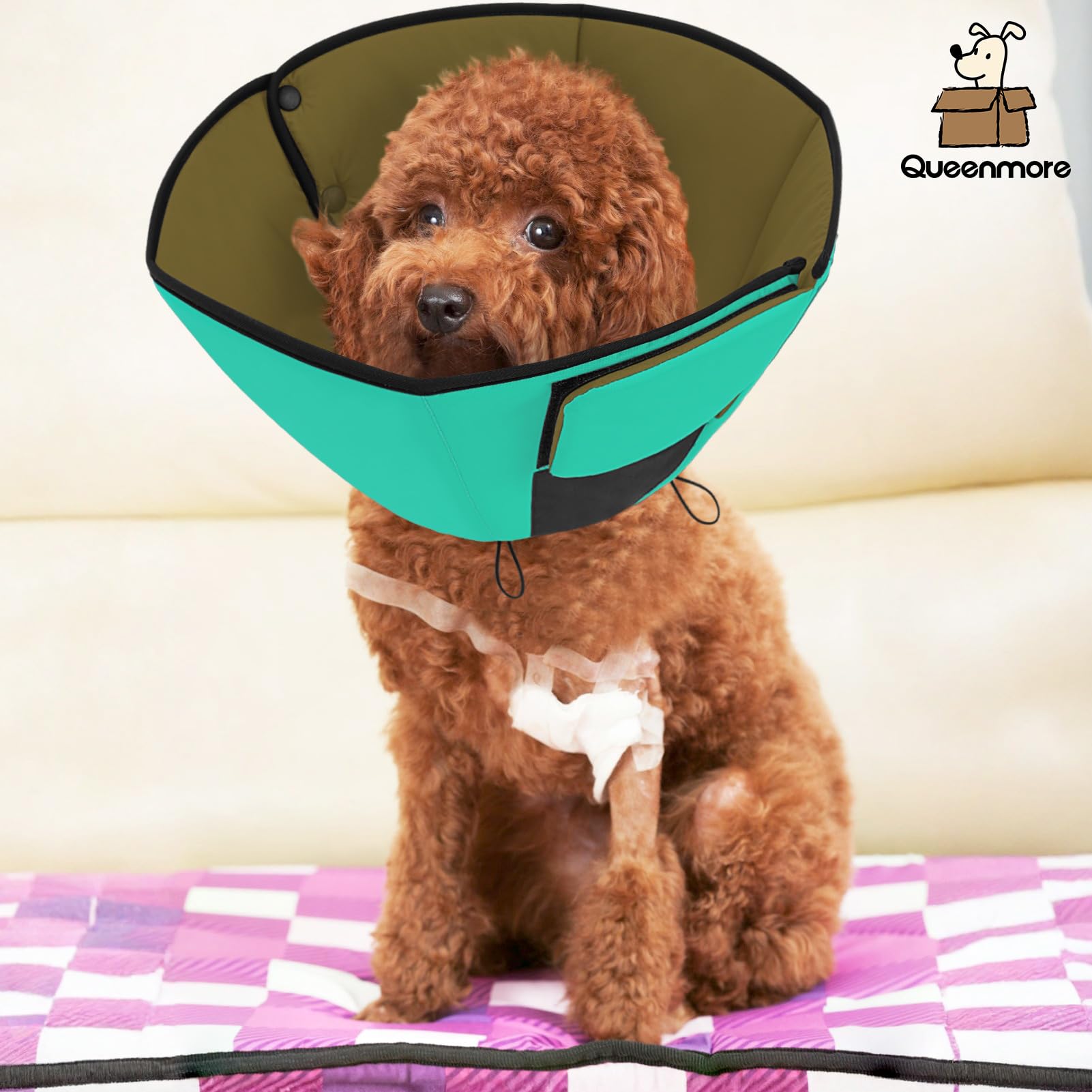 Queenmore cone available in sizes to fit most breeds and neck measurements.