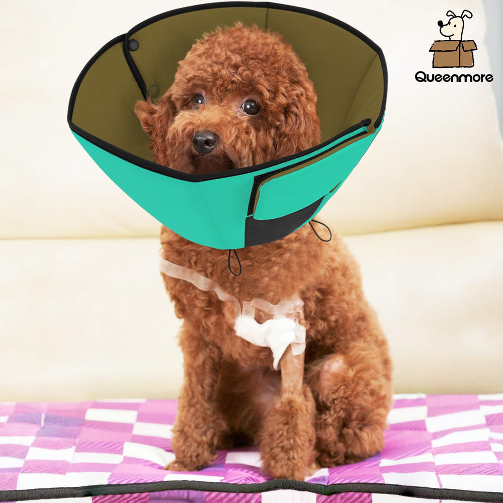 Queenmore cone available in sizes to fit most breeds and neck measurements.
