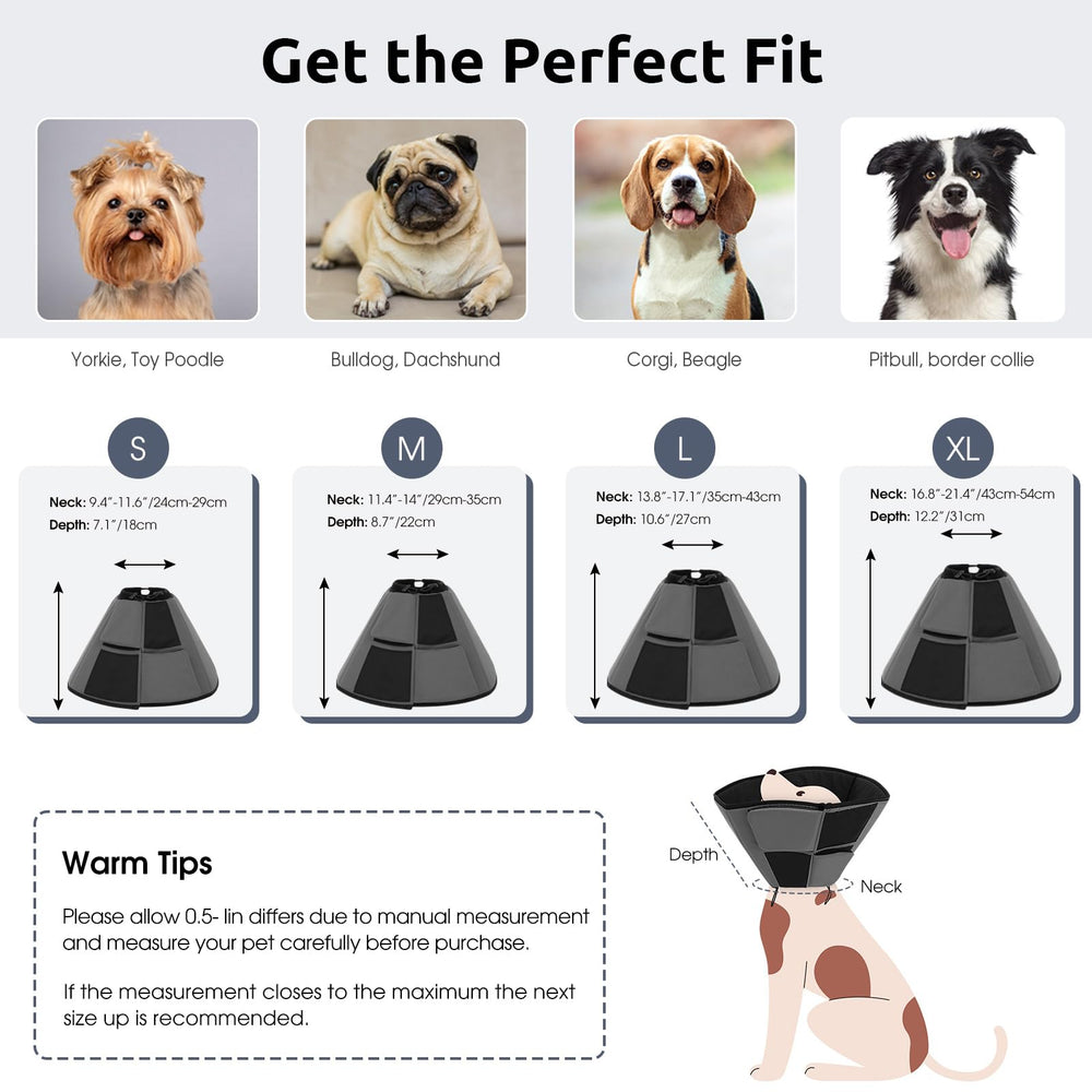 Queenmore dog cone worn by dog demonstrates safe, comfortable wear.