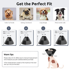 Queenmore dog cone worn by dog demonstrates safe, comfortable wear.