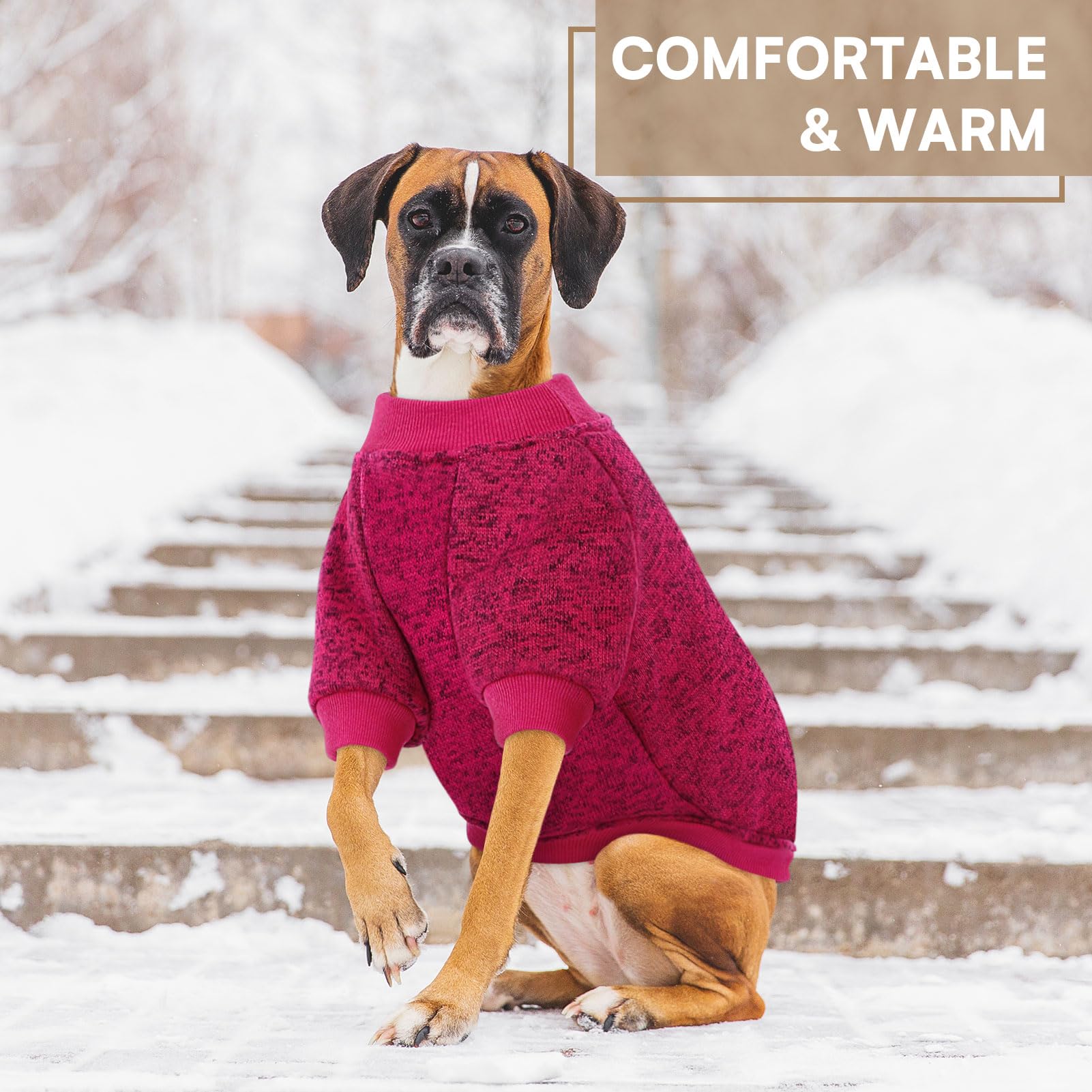 Queenmore dog fleece sweater high-cut belly design prevents mess and restriction