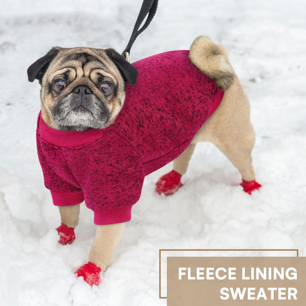 Queenmore dog fleece sweater on dog in winter day demonstrates versatile warmth