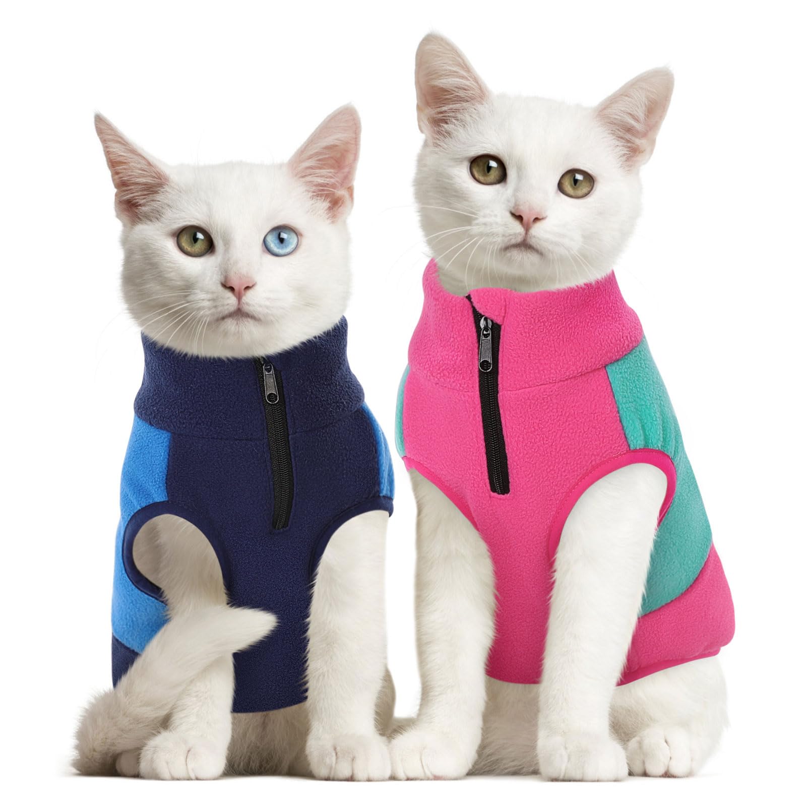 Queenmore dog fleece sweater worn on a walk highlights warmth and comfort