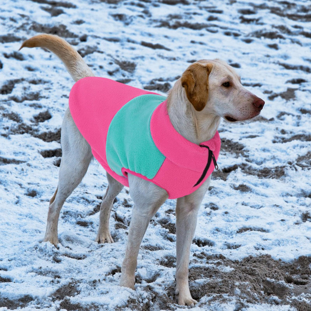 Queenmore dog fleece sweater size-chart image for proper fit guidance