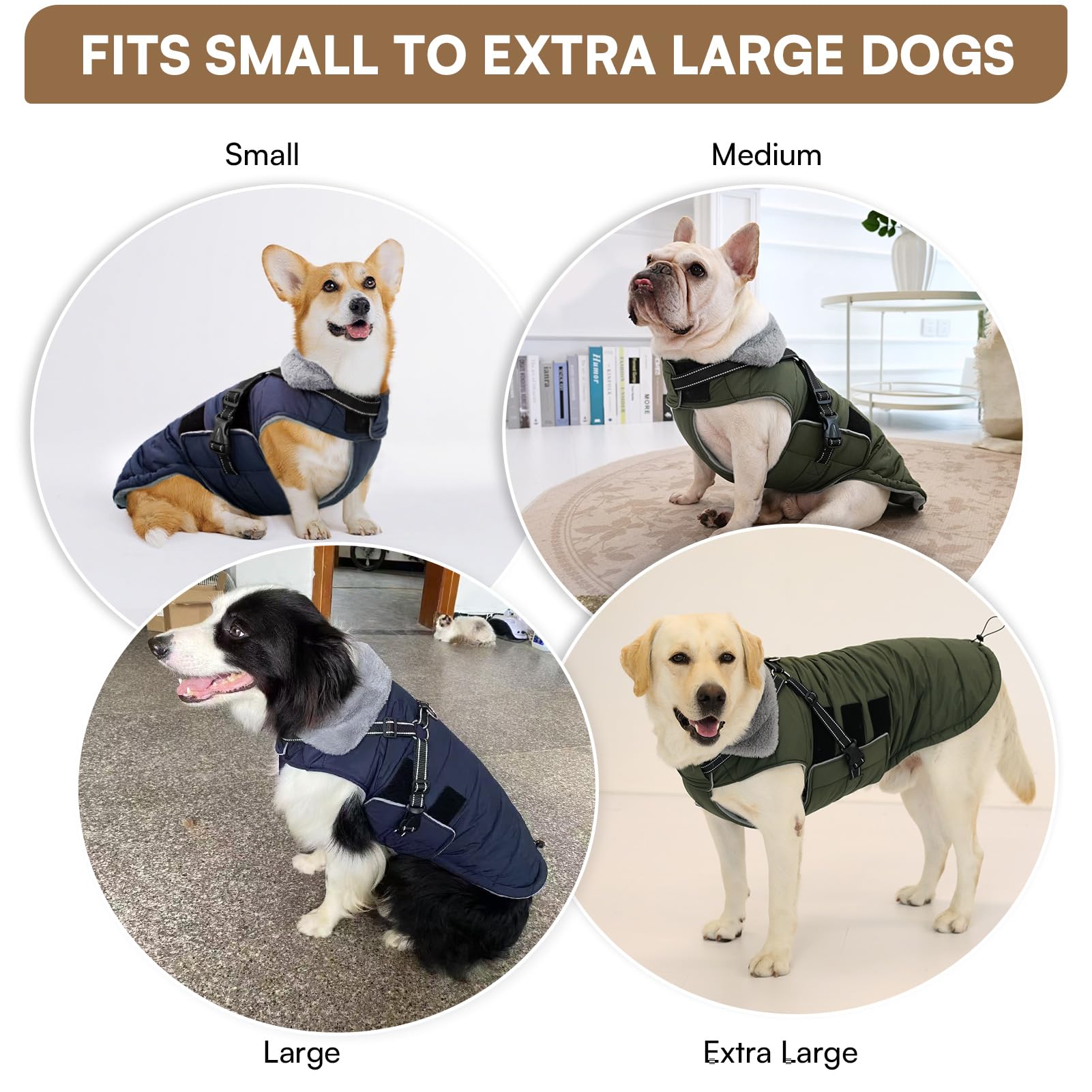 Queenmore adjustable belly and collar for a comfortable fit