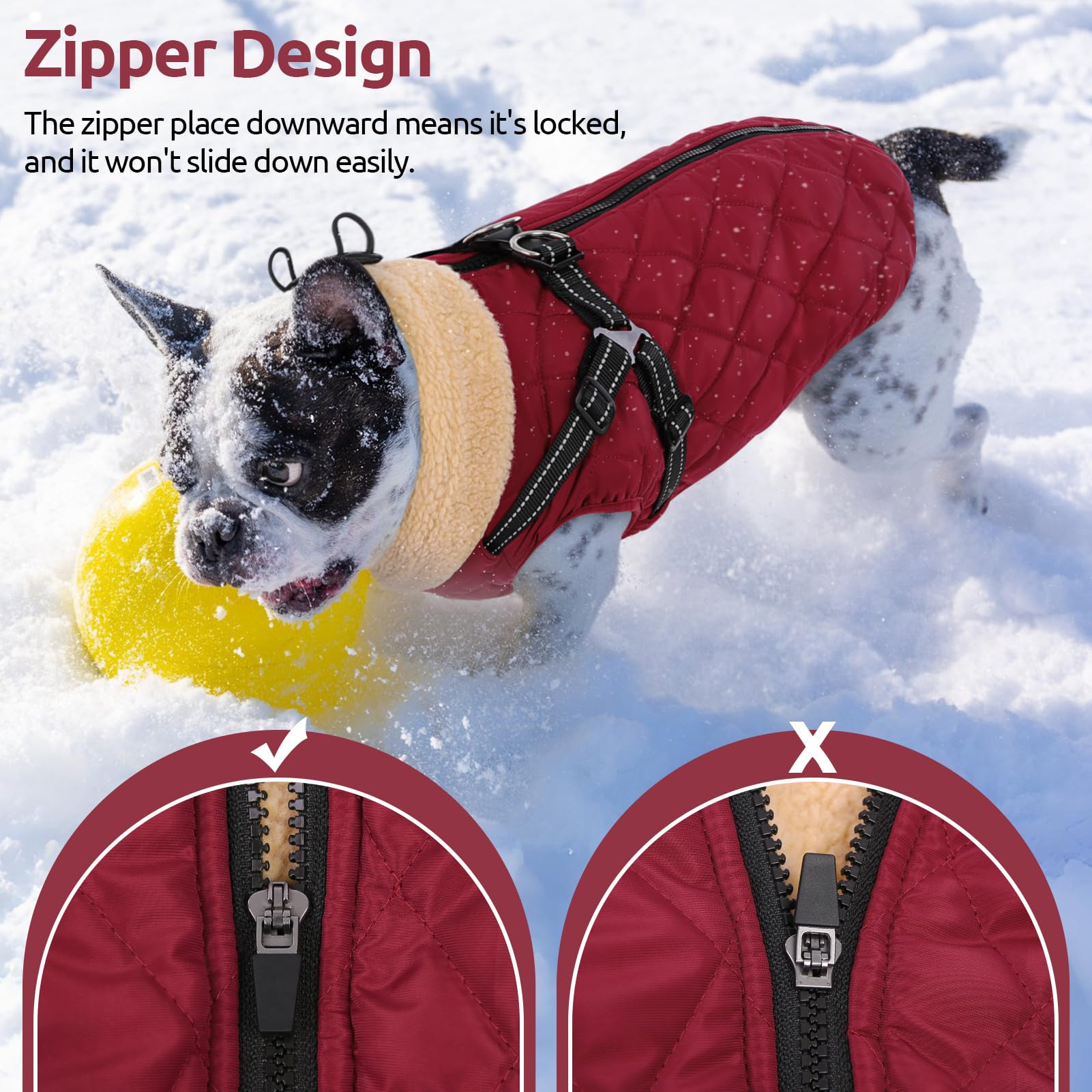 Queenmore easy-on-off back-zip image speeds dressing without pulling fur.
