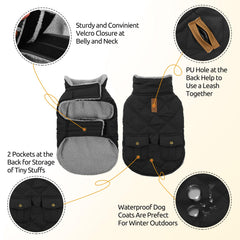 Queenmore dog jacket leash hole back enables safe, close-leash outings.