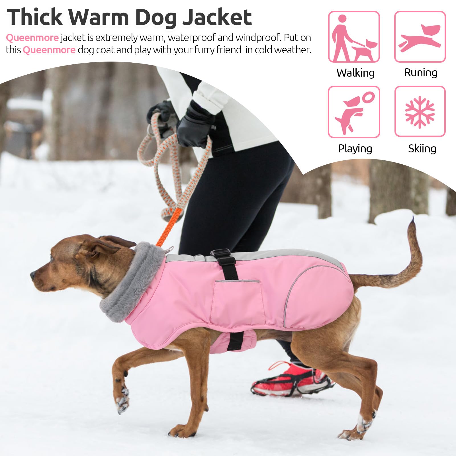 Queenmore dog jacket designed for outdoor activities like jogging and camping.