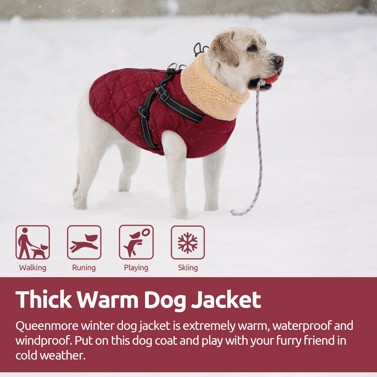 Queenmore outdoor-walking-adventure image demonstrates versatile coat for hiking and snow play.