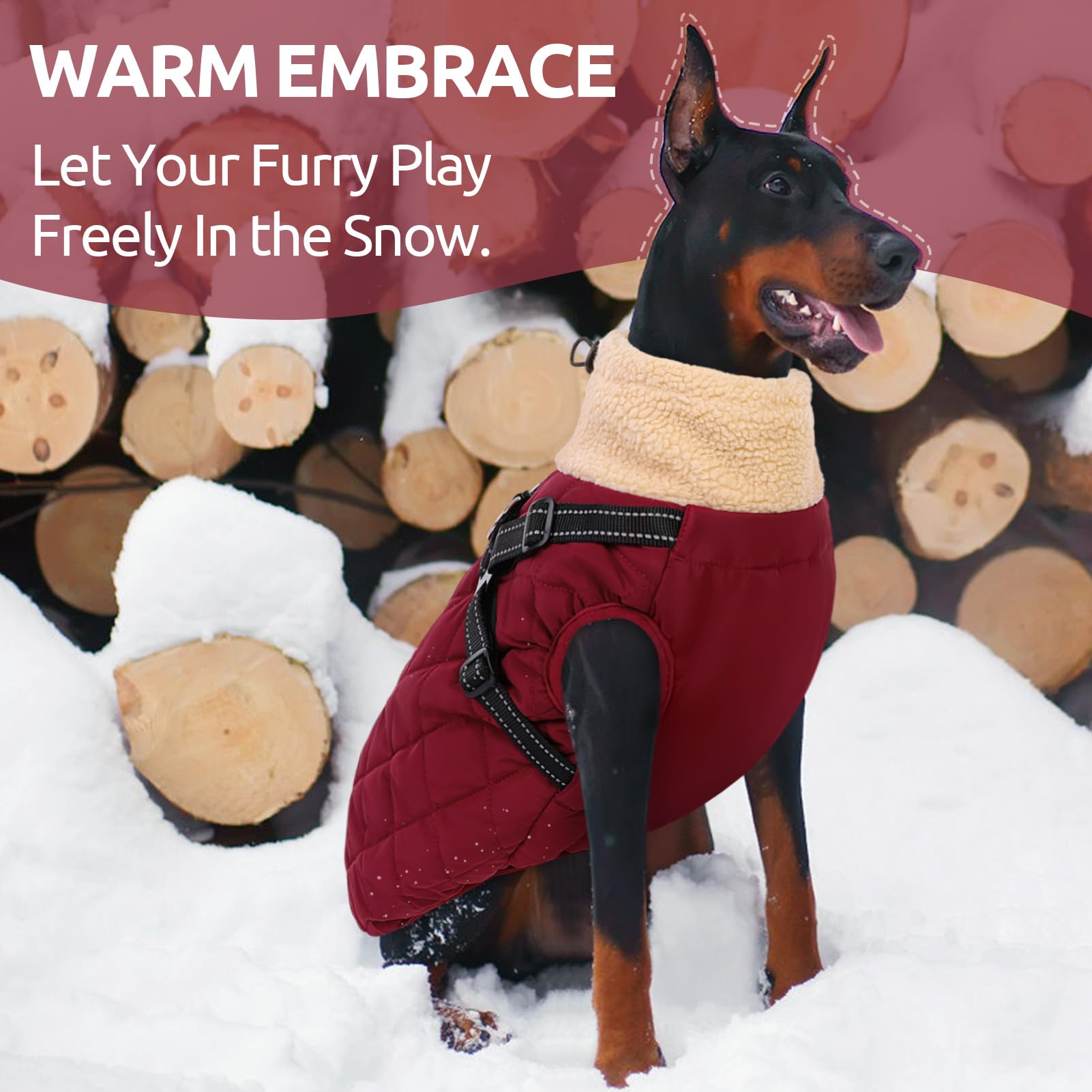 Queenmore sherpa fleece lining interior feels cozy against your dog's skin.