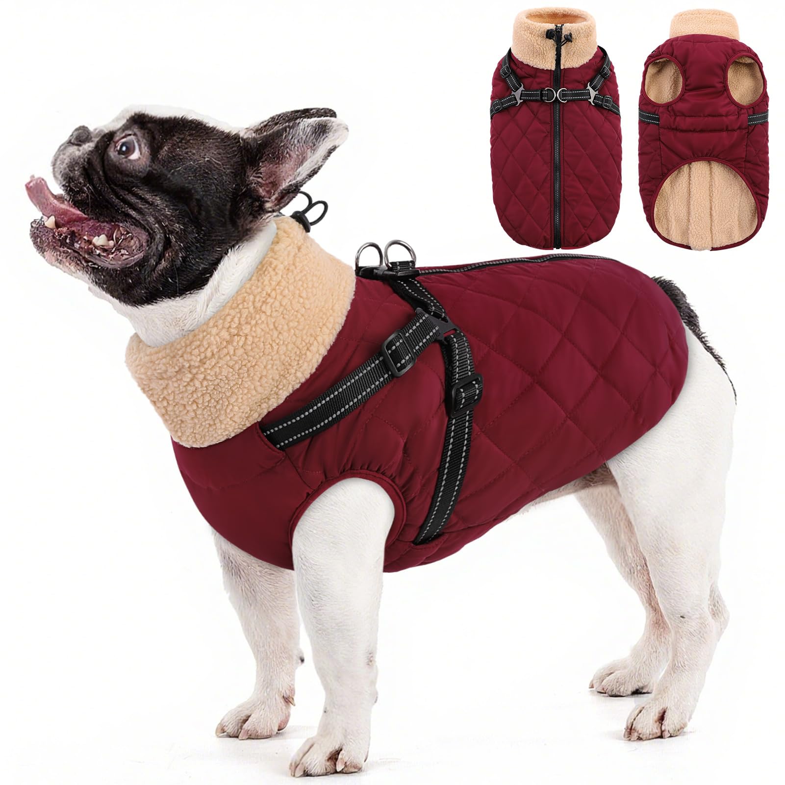 Queenmore dog jacket back-zip view keeps your dog dry in wet weather.