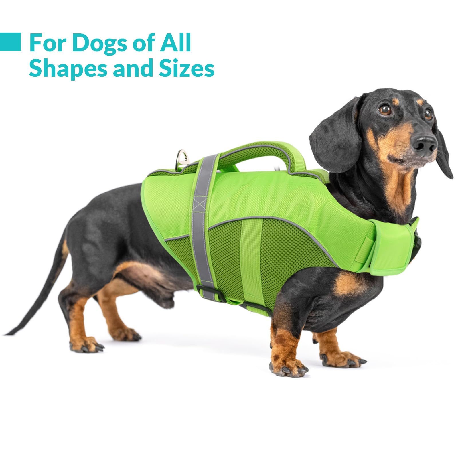 Queenmore life jacket has quick-release buckles and adjustable straps for a snug fit.