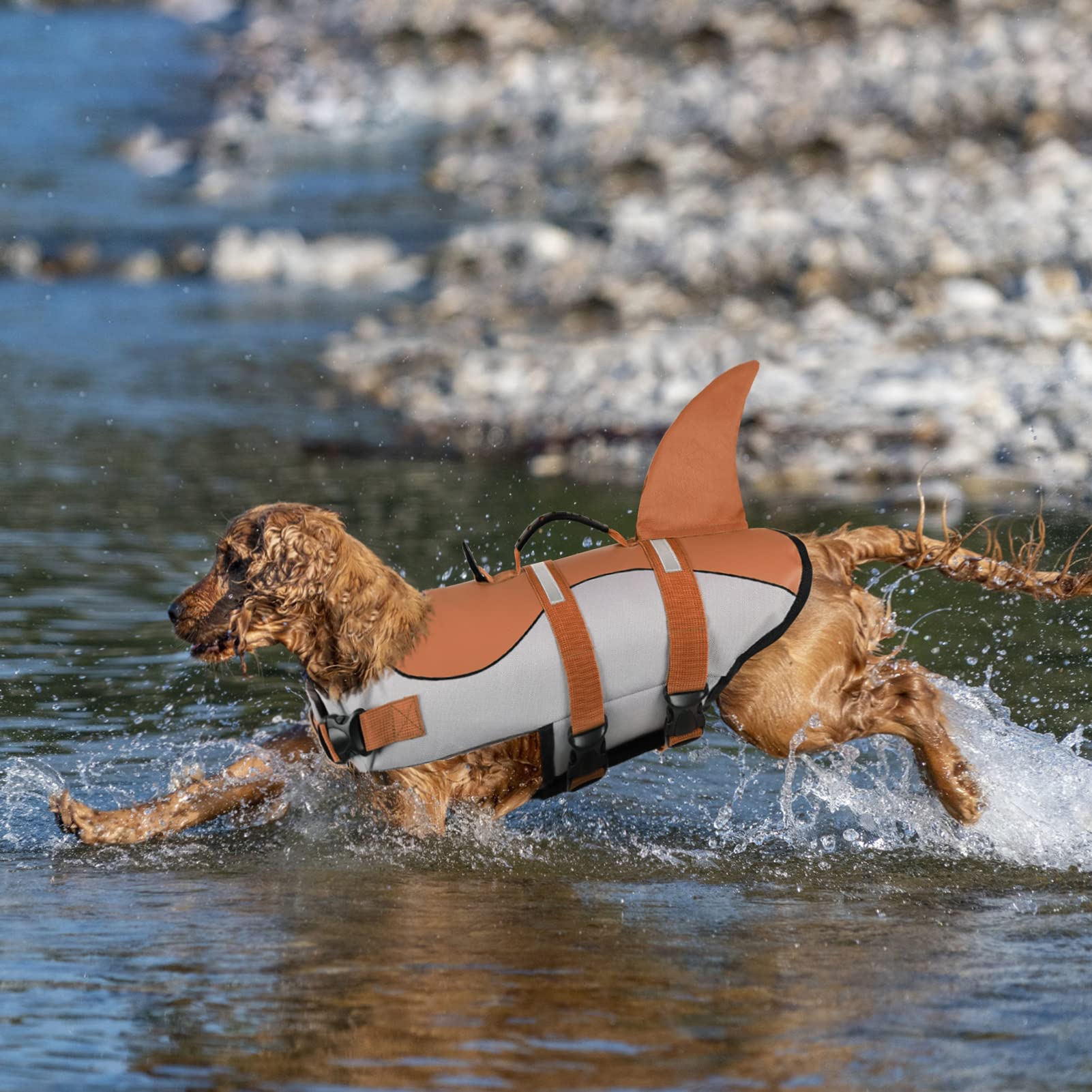 Queenmore dog life jacket with adjustable nylon straps for secure fit.
