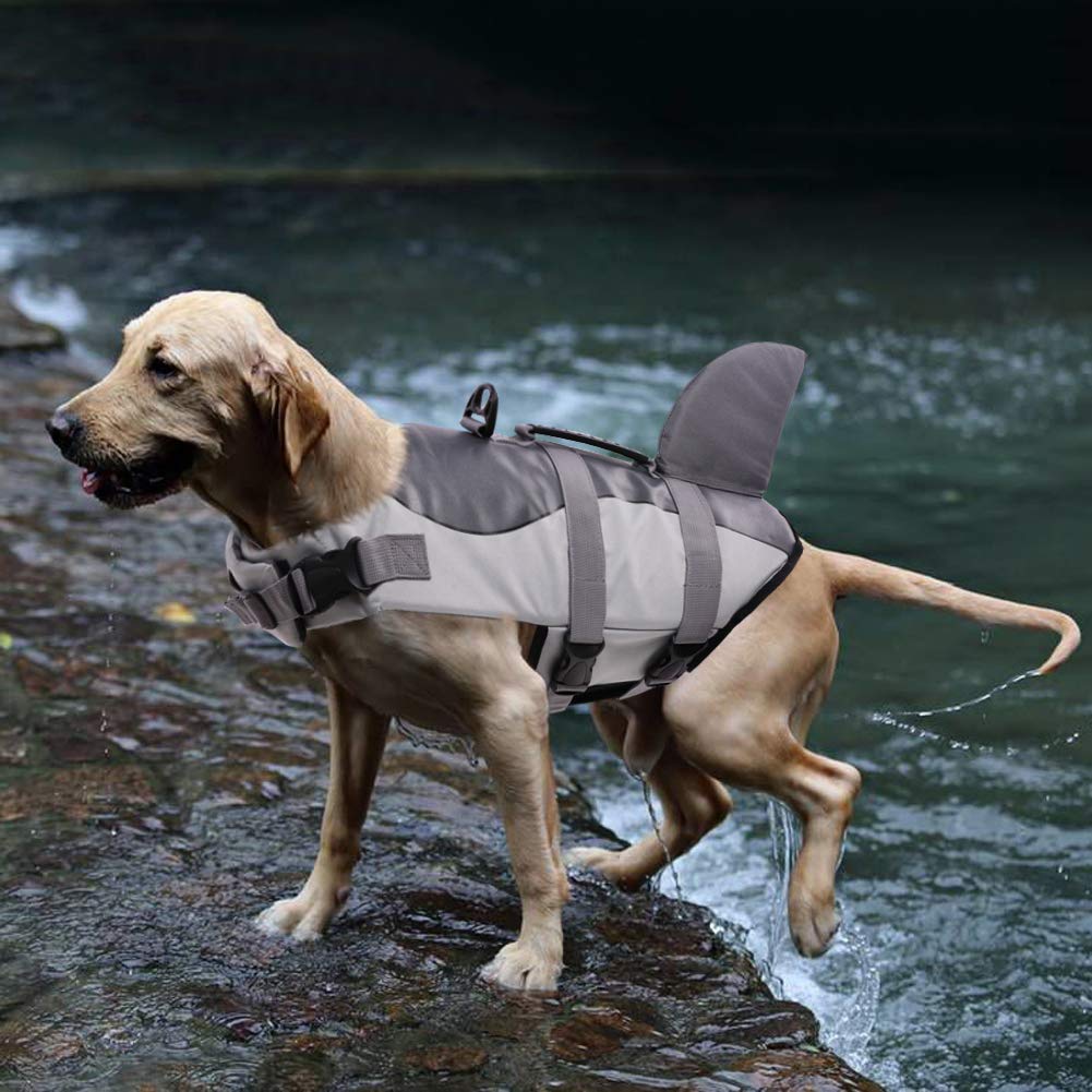 Queenmore dog life jacket uses buoyant foam to aid swimming