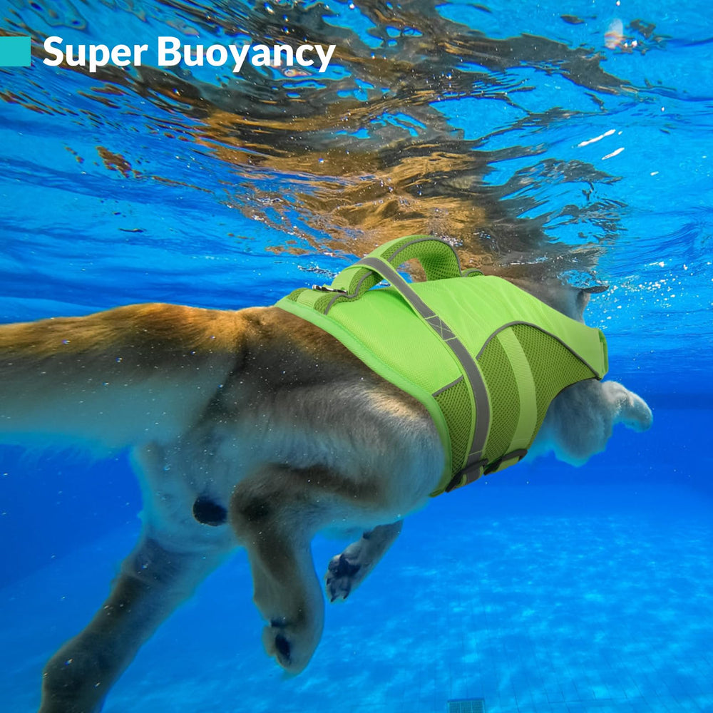Queenmore dog life jacket includes a D-ring for accessories during boating.