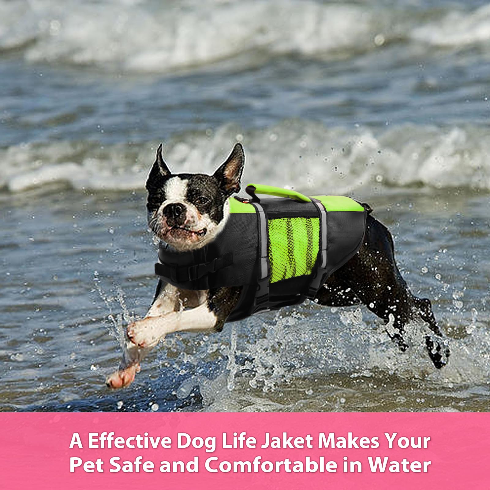 Queenmore life jacket worn by a dog, demonstrating buoyant support and comfort.