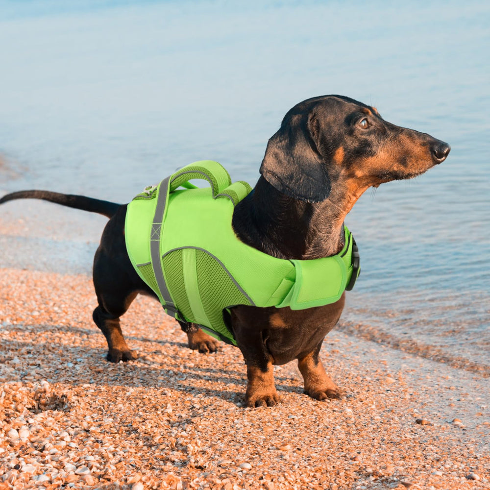 Queenmore dog life jacket in green color boosts safety and visibility.