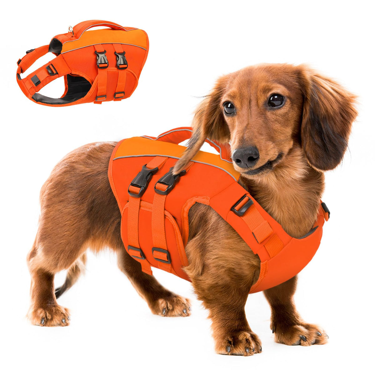 Queenmore dog life jacket with high flotation foam supports swimming