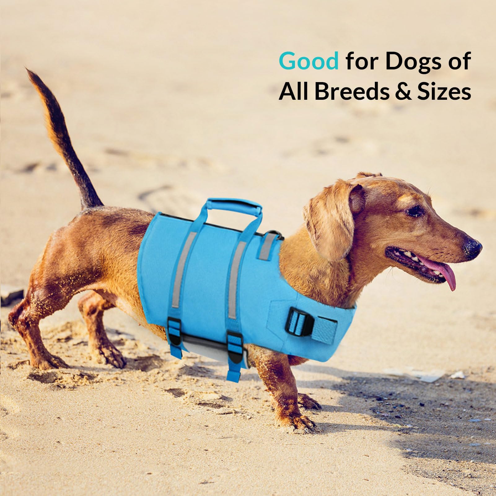 Queenmore dog life jacket blue on-water vest supports safer boating moments