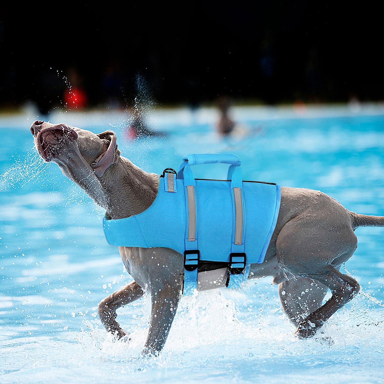Queenmore dog life jacket blue rescue-handle supports quick lift from water