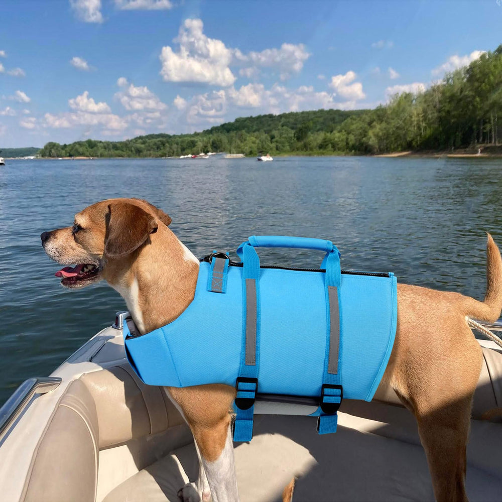 Queenmore dog life jacket blue D-ring leash-ready design for accessories
