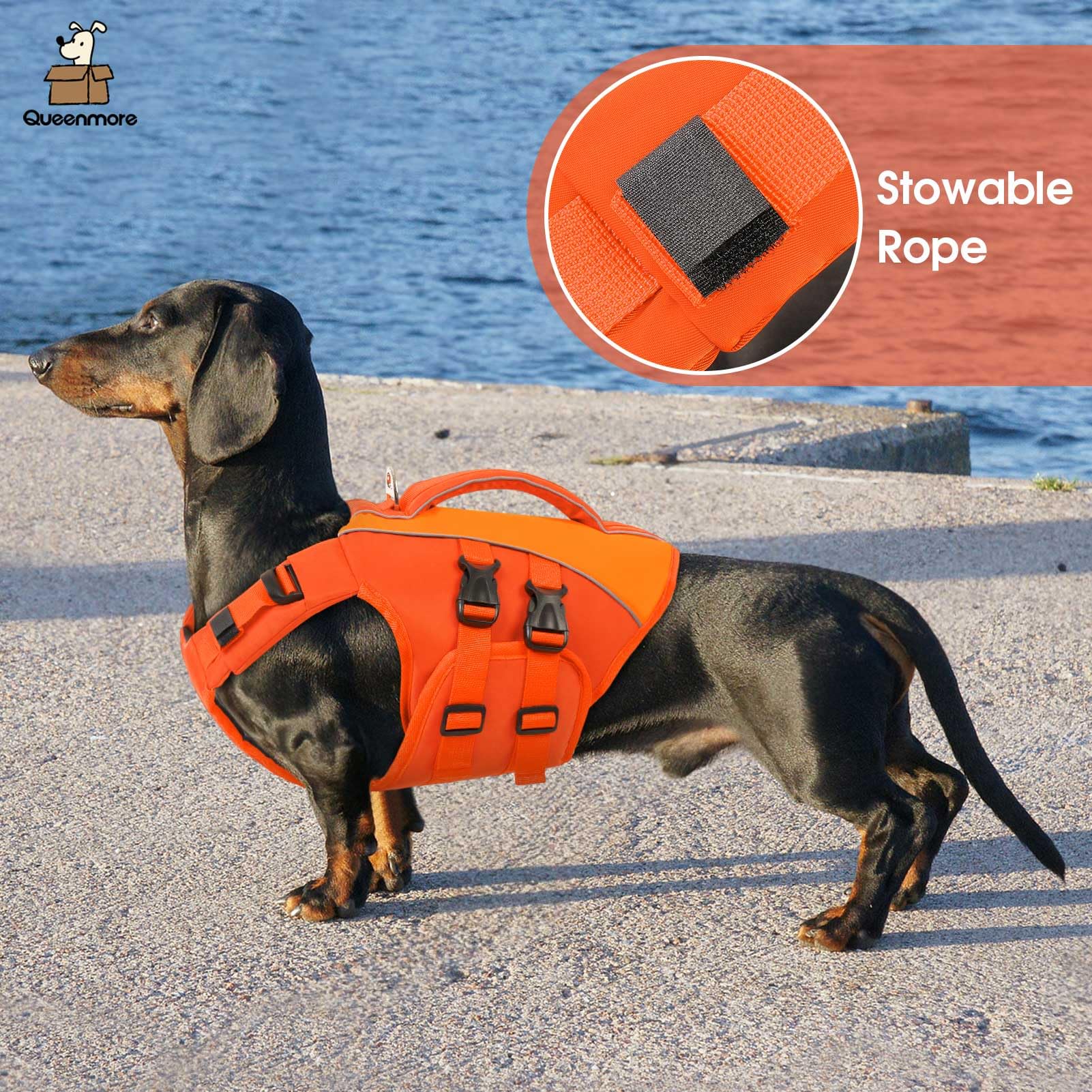 Queenmore orange dog life jacket enhances outer-activity visibility