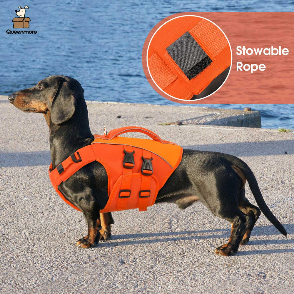 Queenmore orange dog life jacket enhances outer-activity visibility