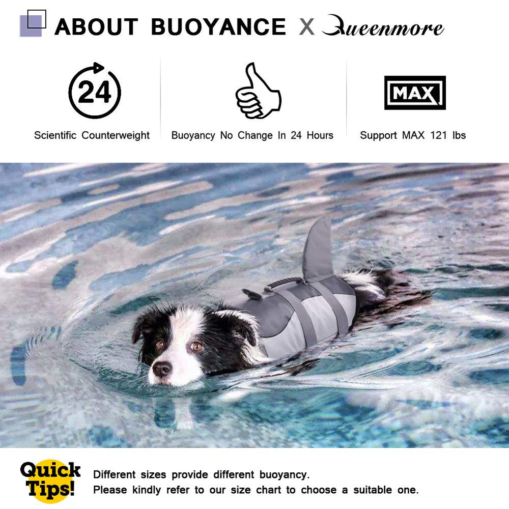 Queenmore dog life jacket with reflective accents for visibility