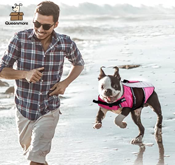 Queenmore dog life jacket reflective straps boost nighttime visibility during swims