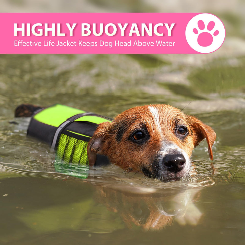 Queenmore dog life jacket with rescue handle for rapid lifting in water scenarios.