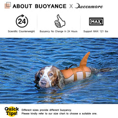 Queenmore dog life jacket with rescue handle for controlled lifting on shore.