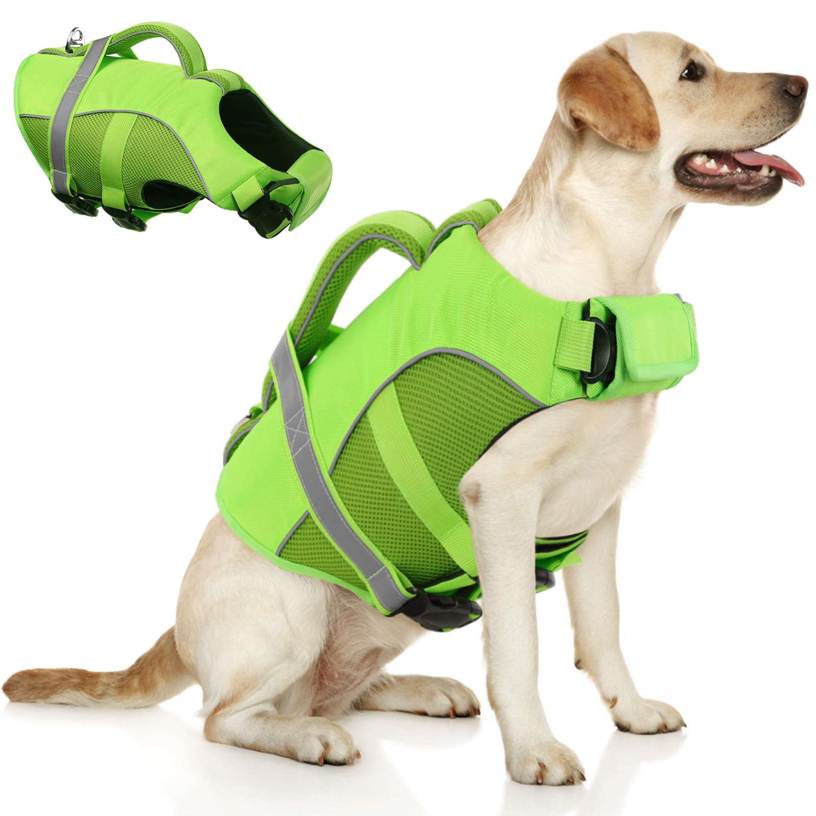 Queenmore dog life jacket with ribcage measurement guidance for a secure swimming fit.