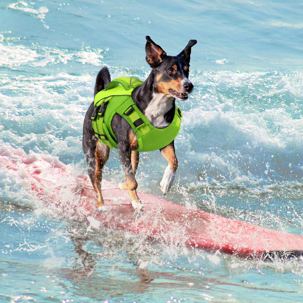 Queenmore life-jacket-dog-swimming-vest-green boosts visibility during outdoor recreation