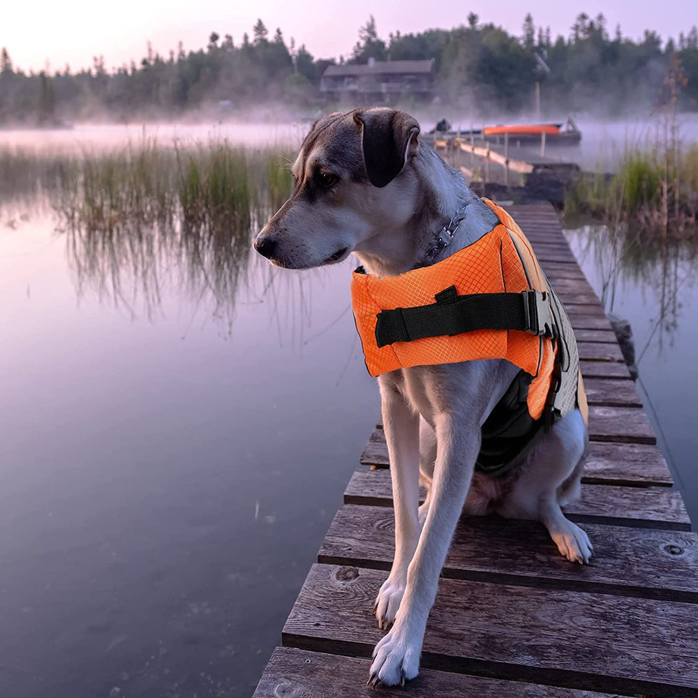 Queenmore dog lifejacket neck and chest buckles provide secure fit
