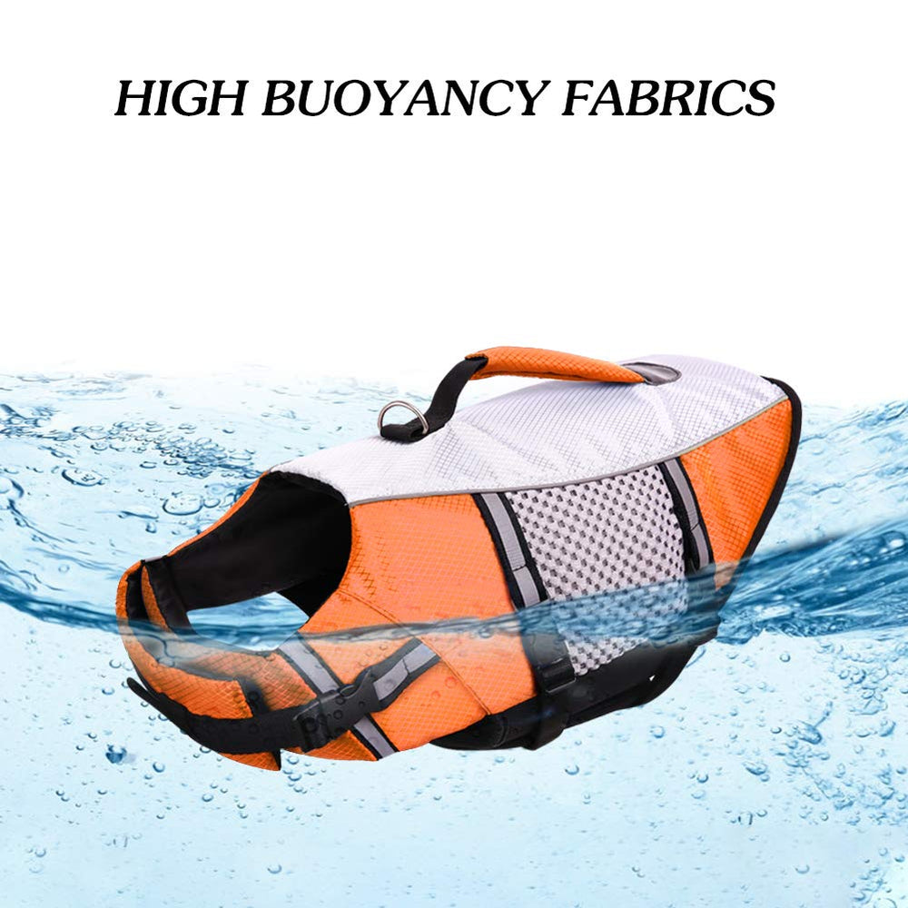 Queenmore dog lifejacket in action for beach and pool use