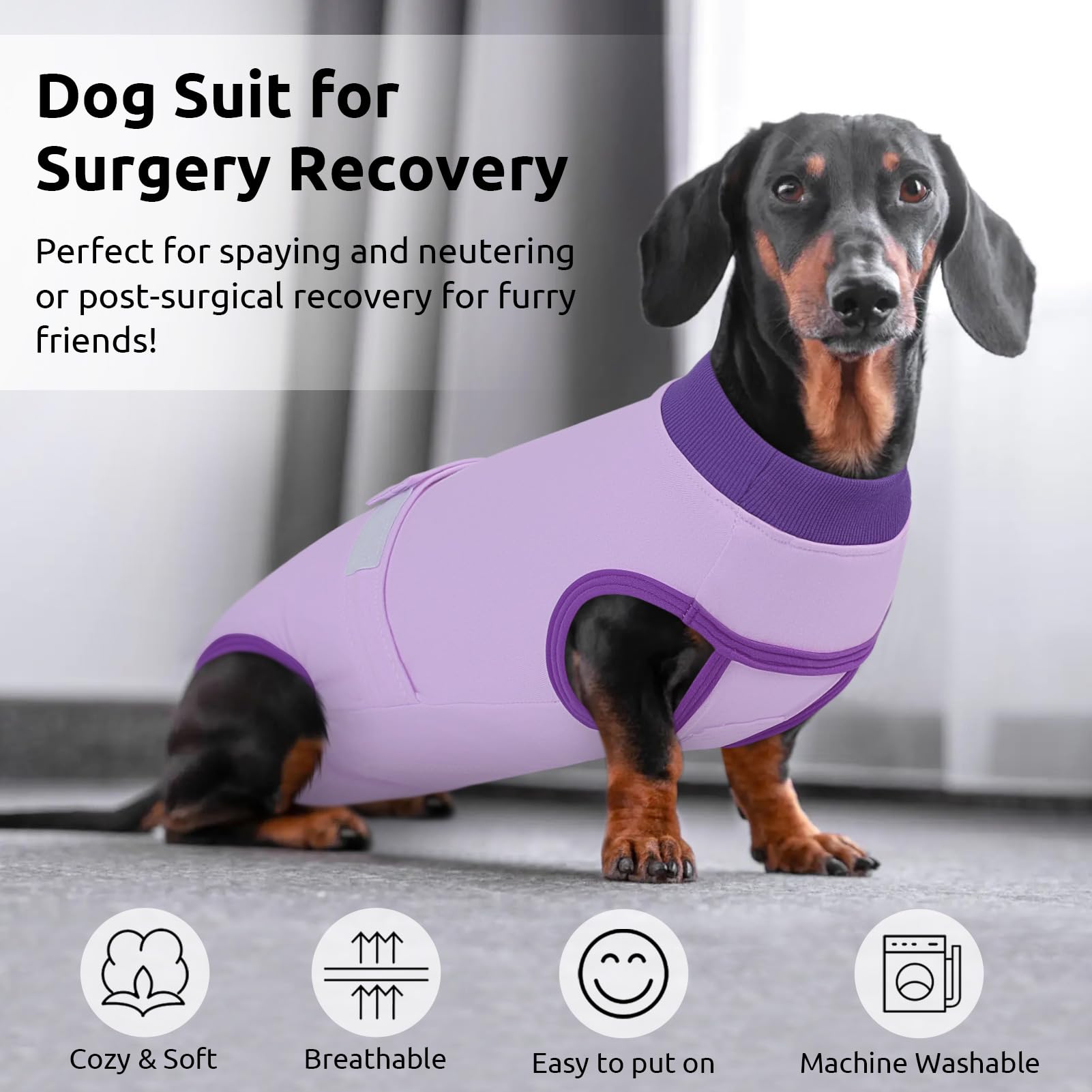 Queenmore dog recovery pattern in rose and blue for daily wear during recovery.