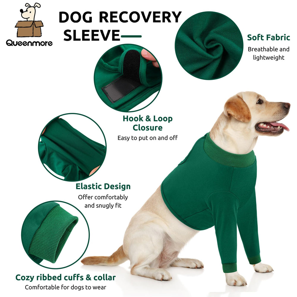 Queenmore dog recovery suit adjustable-strap shows a secure, customizable fit for comfort.