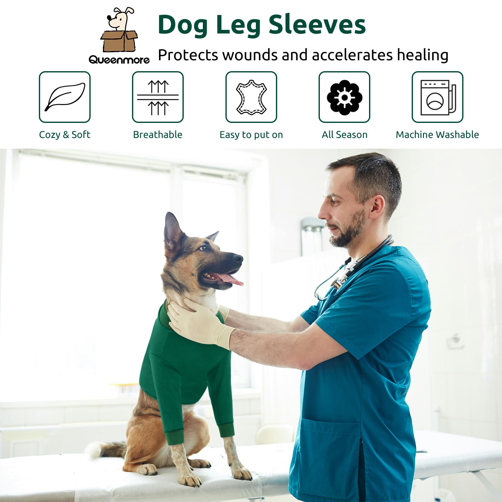 Queenmore dog recovery-suit-cone-alternative offers cone-free comfort for post-surgery activity.